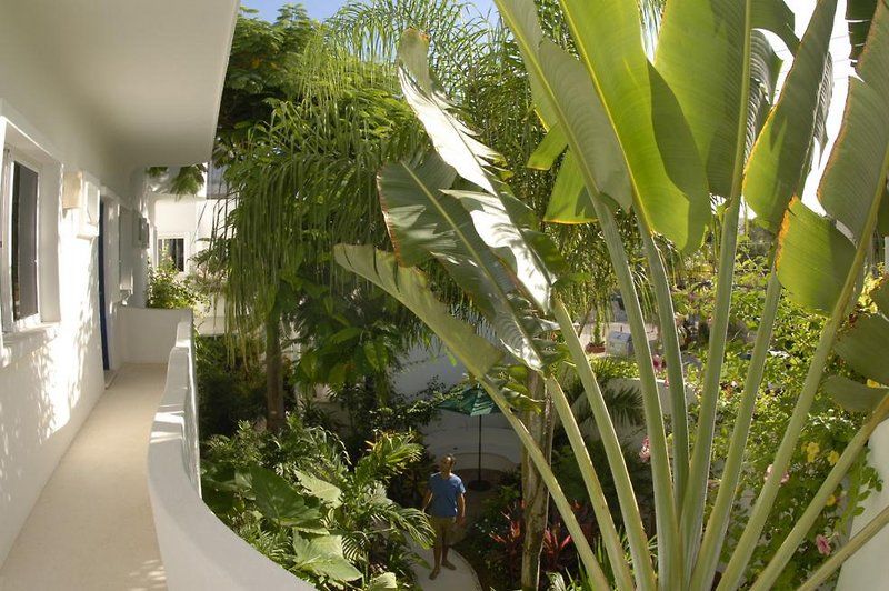 Aqualuna Boutique Hotel By Sunrise (Adults Only) Playa del Carmen Exterior photo
